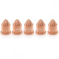 /msite/products/detail/productid/57438115/id/103074.html